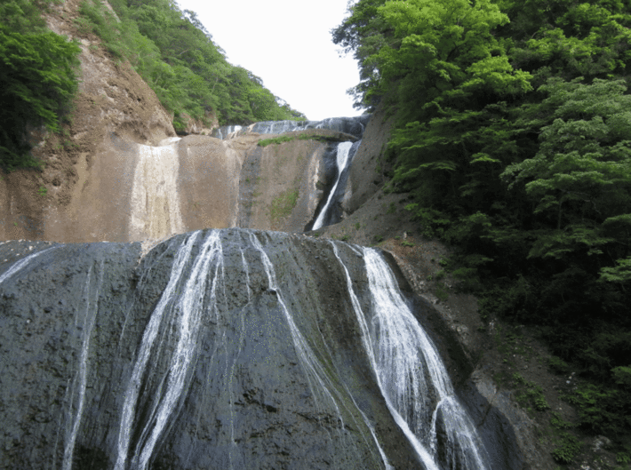 1IMG_0176.gif