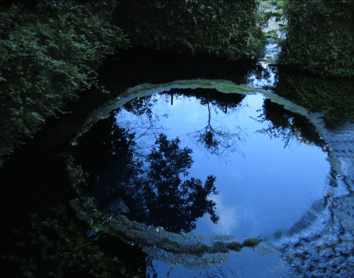 4.gif