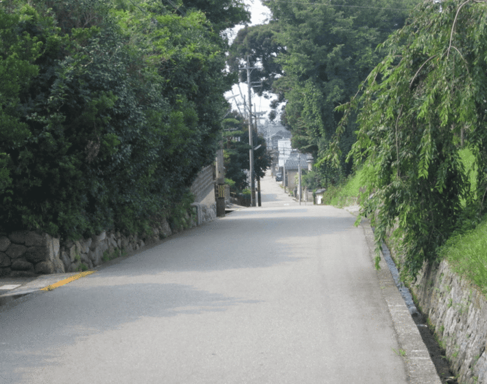 6IMG_0249.gif