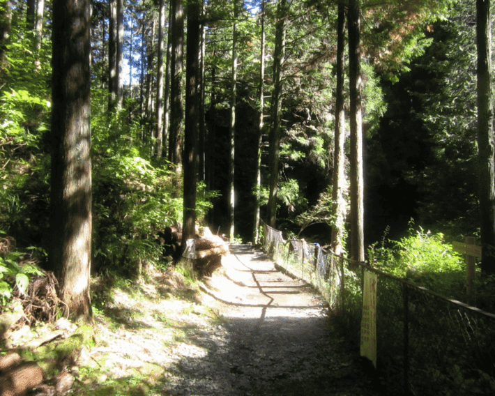 6IMG_0445.gif