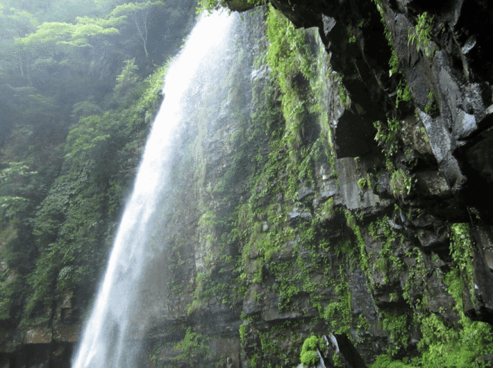 7IMG_0219.gif