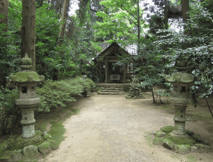 8IMG_0275.gif