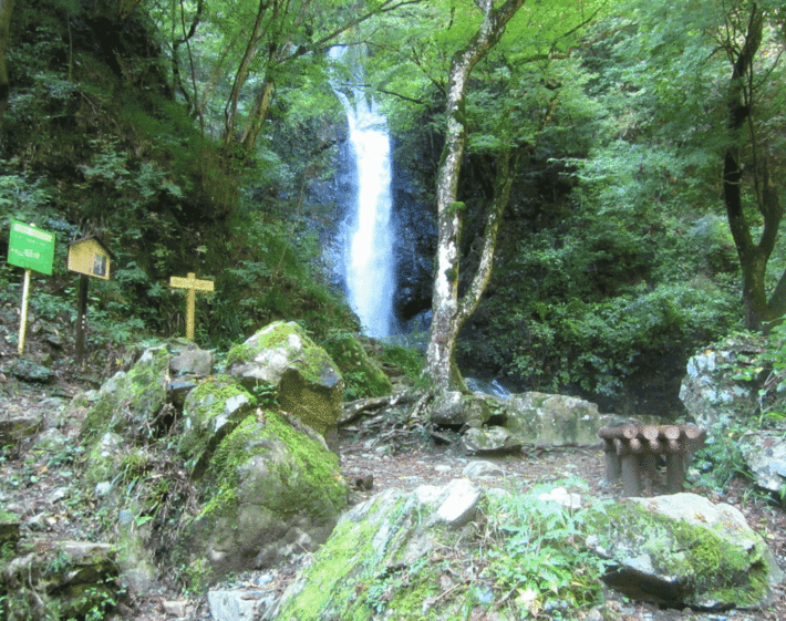 8IMG_0443.gif