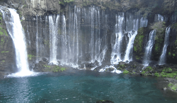 IMG_0590.gif