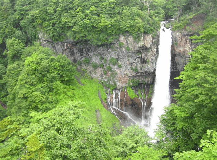 IMG_0697.gif